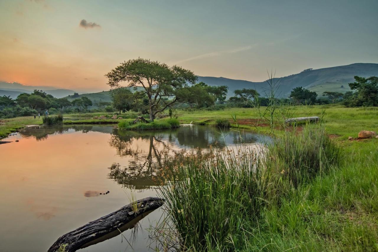 Caracal Lodge Alkmaar Dış mekan fotoğraf