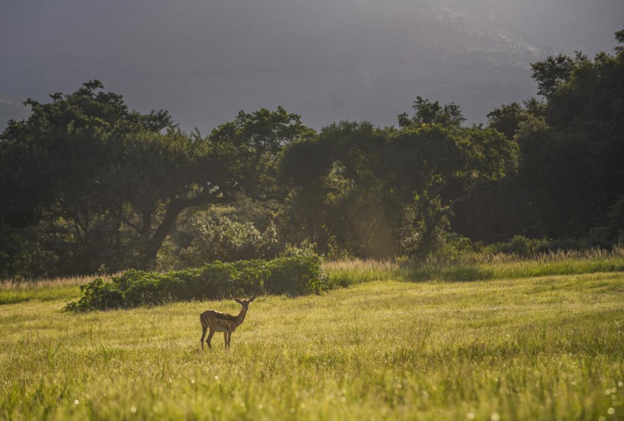 Caracal Lodge Alkmaar Dış mekan fotoğraf
