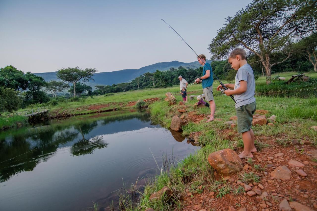Caracal Lodge Alkmaar Dış mekan fotoğraf
