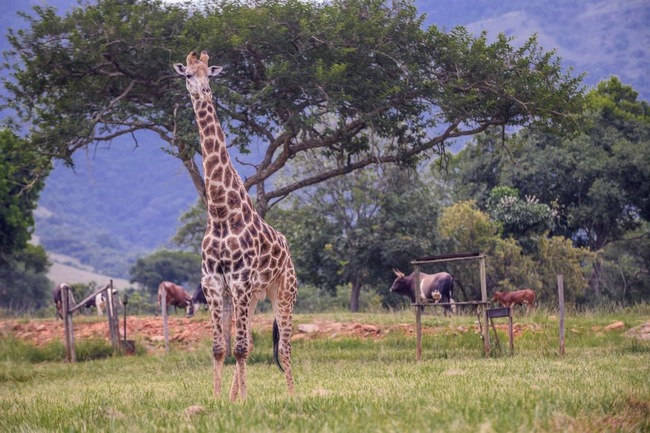 Caracal Lodge Alkmaar Dış mekan fotoğraf