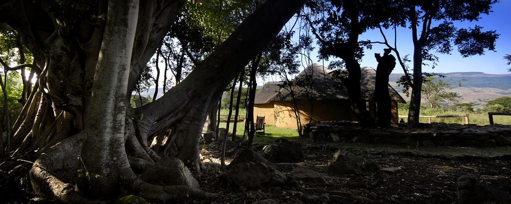 Caracal Lodge Alkmaar Oda fotoğraf