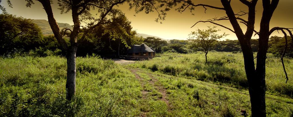 Caracal Lodge Alkmaar Oda fotoğraf