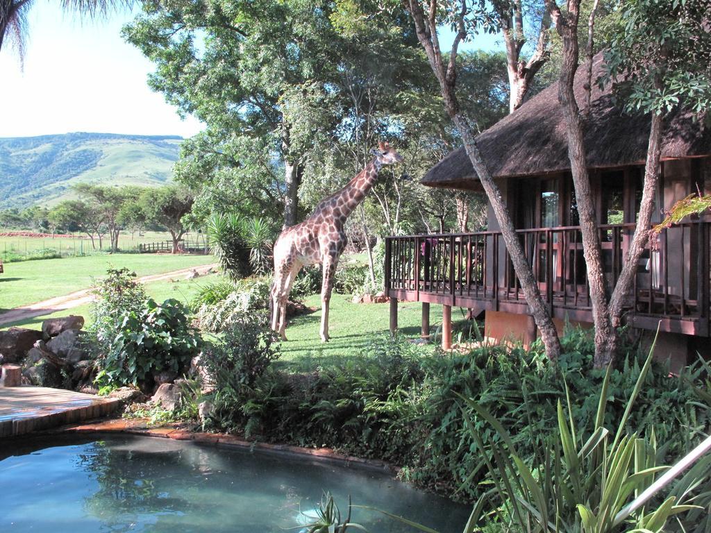 Caracal Lodge Alkmaar Dış mekan fotoğraf