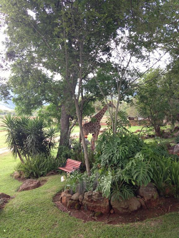 Caracal Lodge Alkmaar Dış mekan fotoğraf