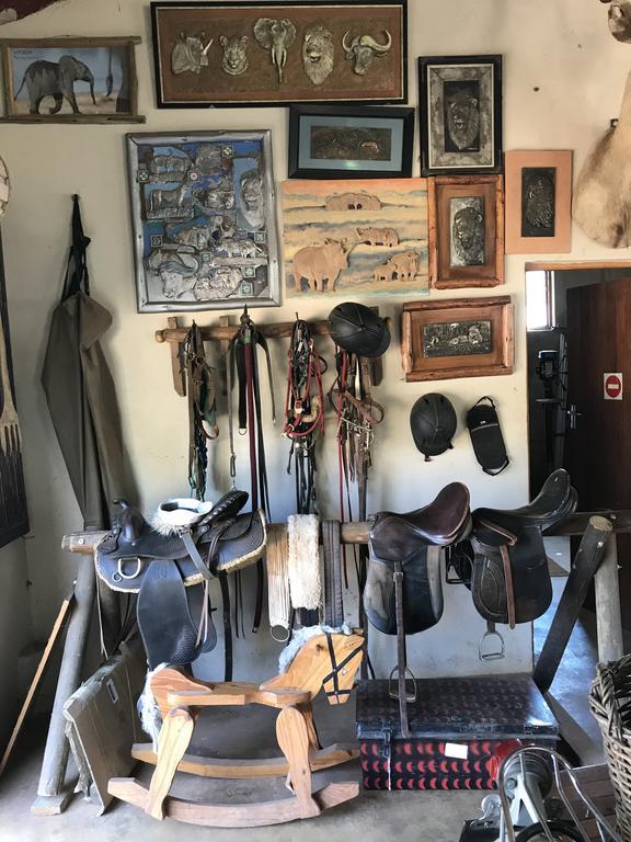 Caracal Lodge Alkmaar Dış mekan fotoğraf